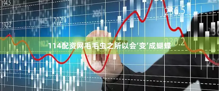 114配资网毛毛虫之所以会‘变’成蝴蝶