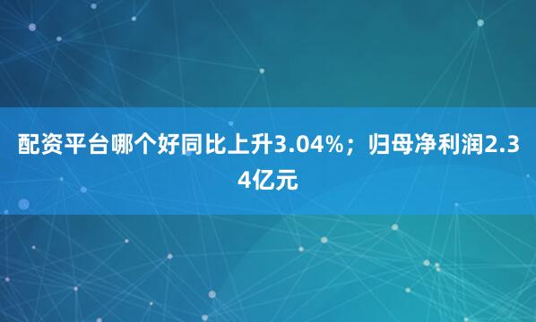 配资平台哪个好同比上升3.04%；归母净利润2.34亿元