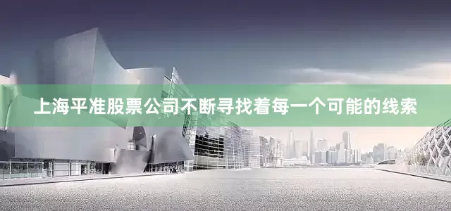 上海平准股票公司不断寻找着每一个可能的线索